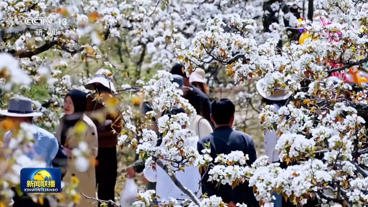 百花竞放 文旅融合绘就春日好时光