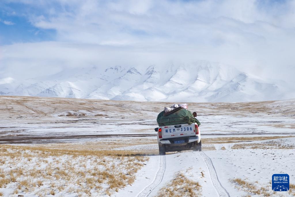 探秘羌塘无人区腹地的“巴毛穷宗”