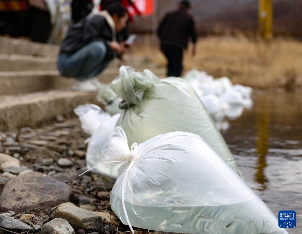 60万尾鱼苗放流图们江