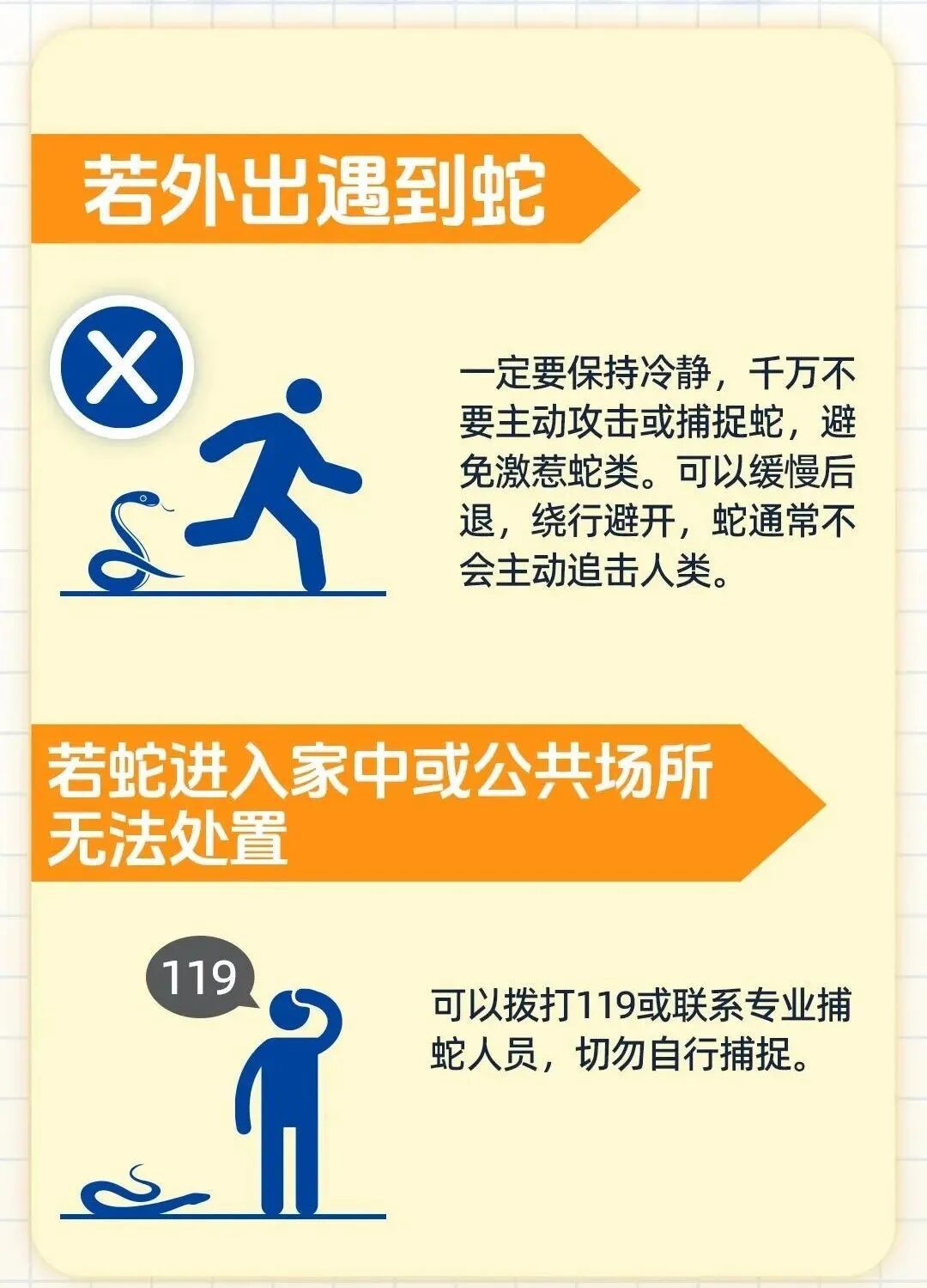 一条、两条、三条!腐叶堆里不断蠕动,居然是蛇在“带娃”? 一条、两条、三条!腐叶堆里不断蠕动,居然是蛇在“带娃”?