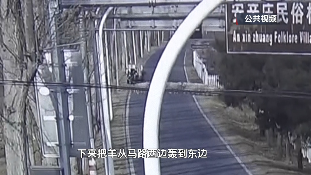 40多只羊诡异失踪 !北京警方刑拘1名男子! 40多只羊诡异失踪 !北京警方刑拘1名男子!