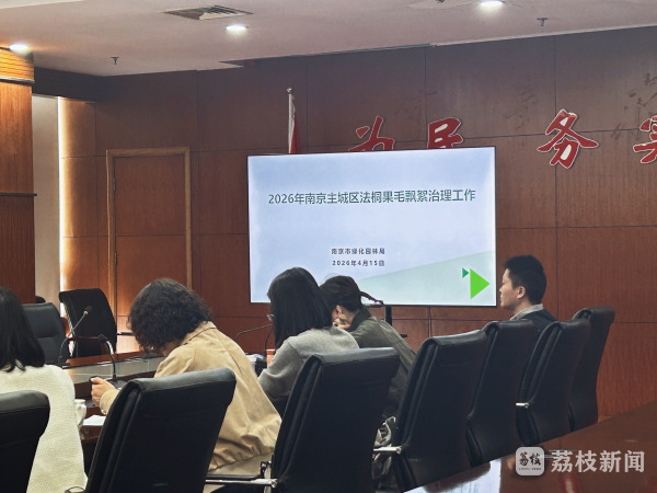 南京启动法桐飘絮治理，“吹剪结合”、遥感AI齐上阵