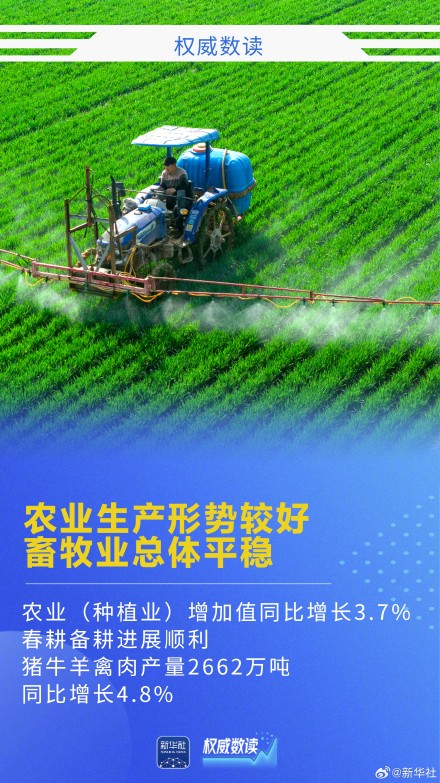 权威数读｜5.0%！彰显韧性活力，实现良好开局