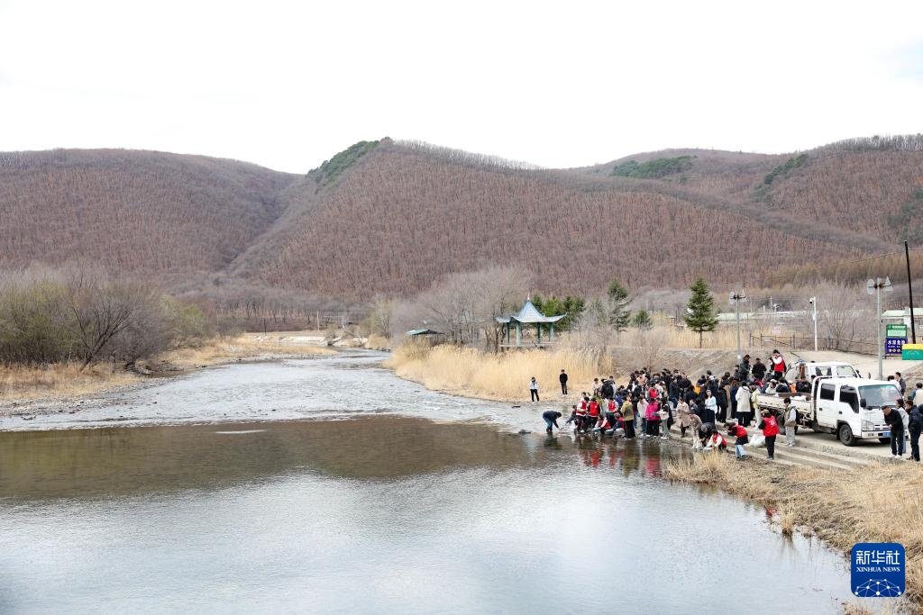 60万尾鱼苗放流图们江