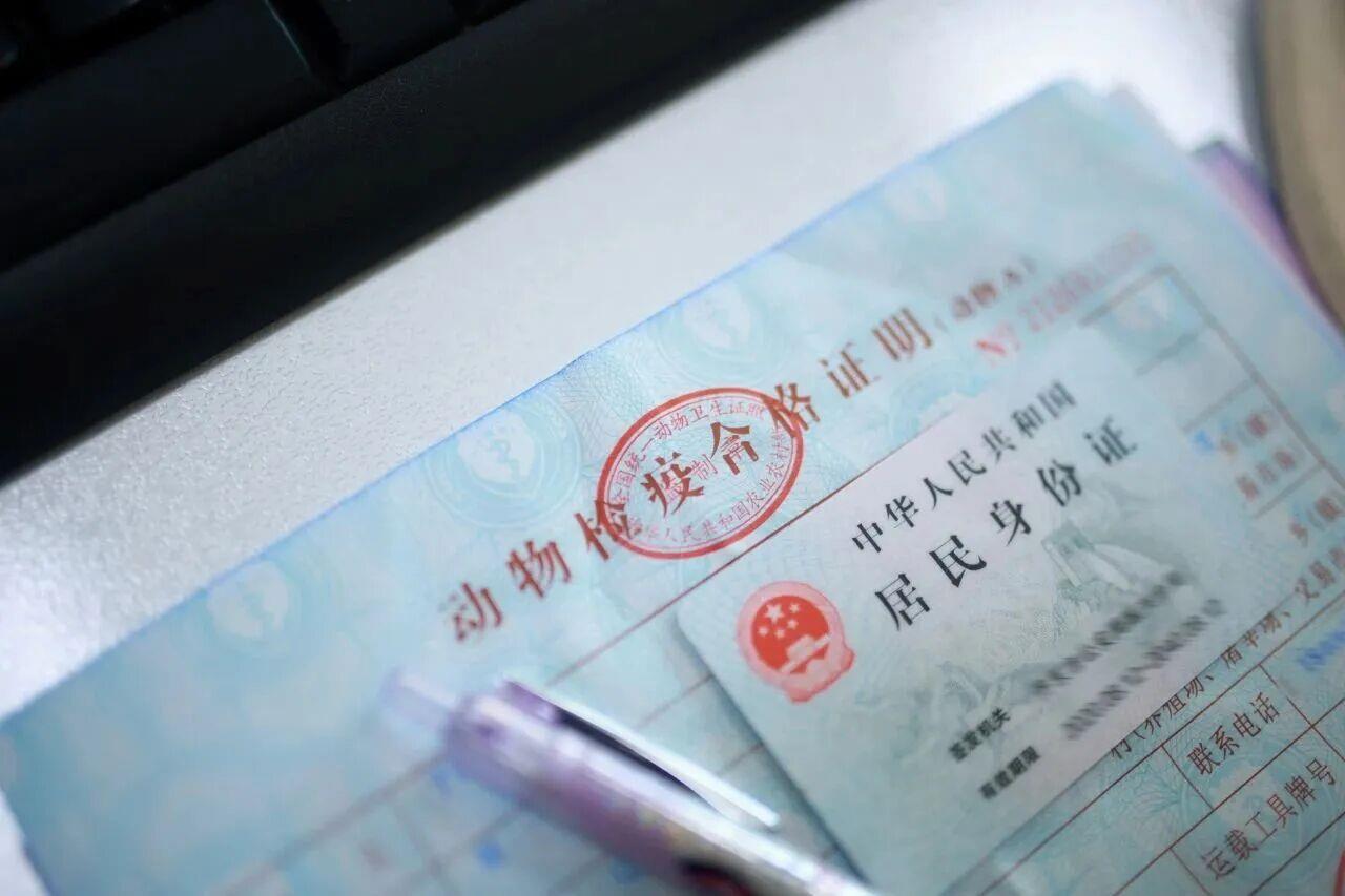 宠物能独自“坐”高铁吗？官方讲解来了！