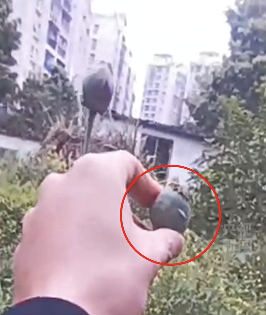 “我们报的警，我们发现了罂粟！”