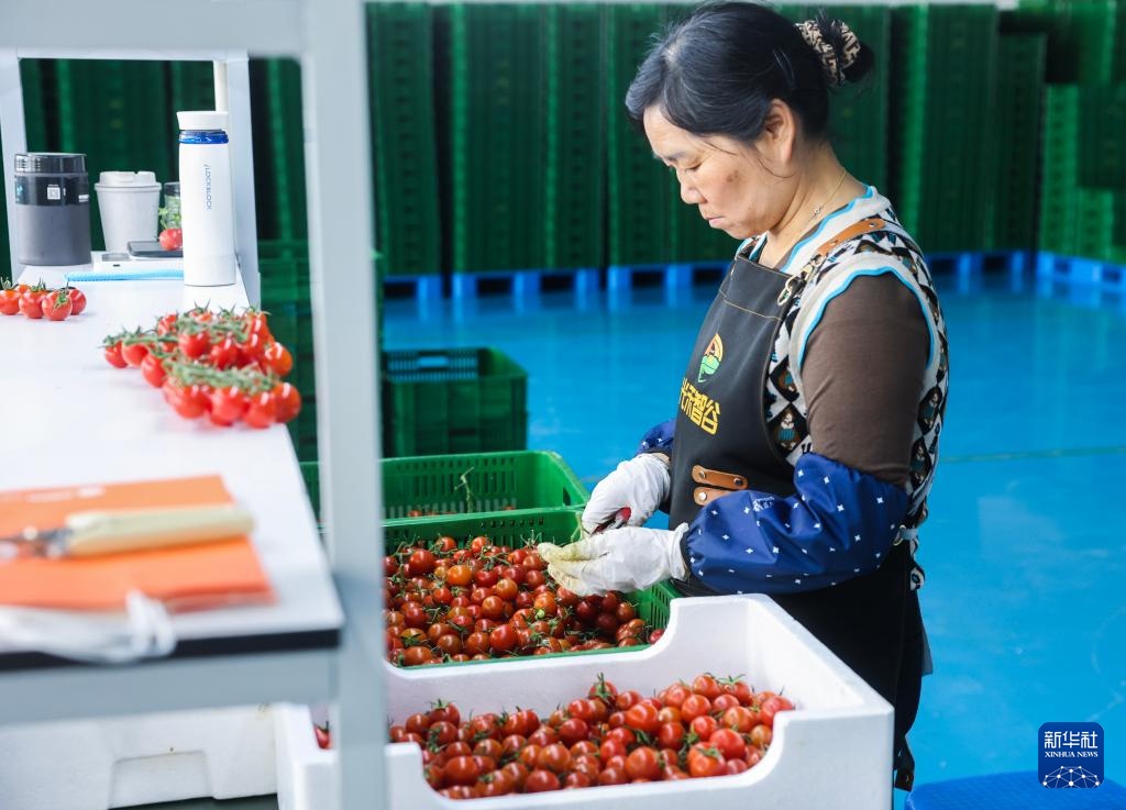 浙江海宁:推进片区组团发展 助力乡村振兴 浙江海宁:推进片区组团发展 助力乡村振兴