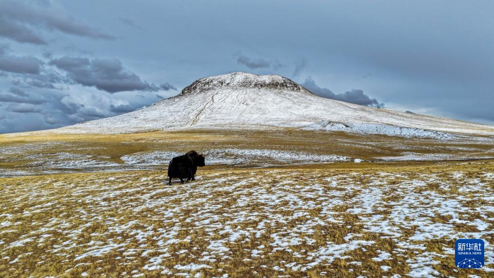 探秘羌塘无人区腹地的“巴毛穷宗”