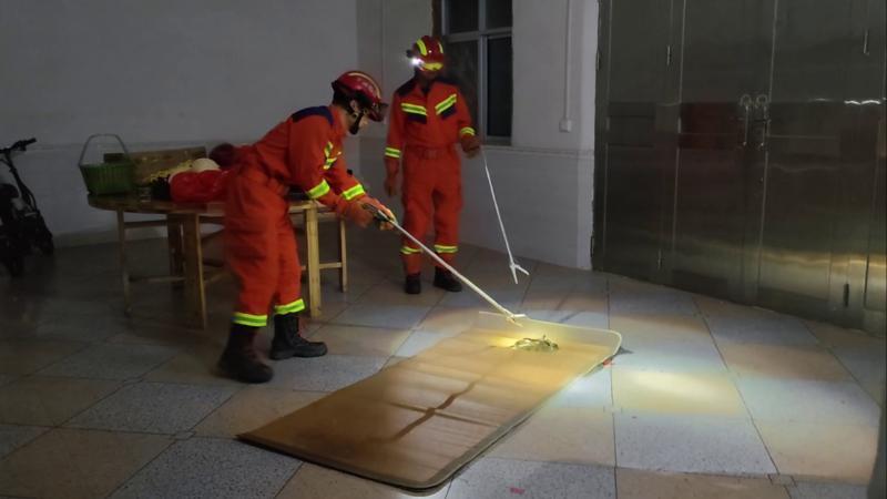 江西赣州：凉席里盘着1.3米滑鼠蛇 消防上门“送客”