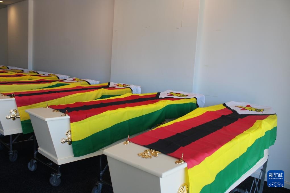 南非向津巴布韦归还“津巴布韦鸟”石雕等文物