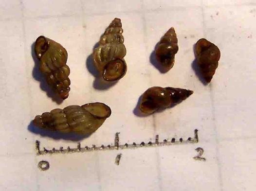 接触10秒即可感染!正值高峰期,中疾控提醒 接触10秒即可感染!正值高峰期,中疾控提醒