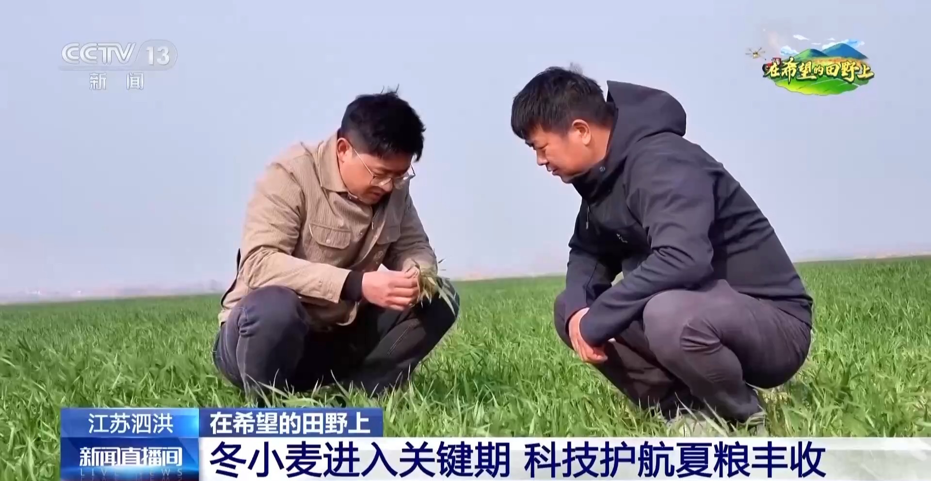 智能化育秧、无人机施肥、机器播种 “智慧春耕”正在进行中 智能化育秧、无人机施肥、机器播种 “智慧春耕”正在进行中