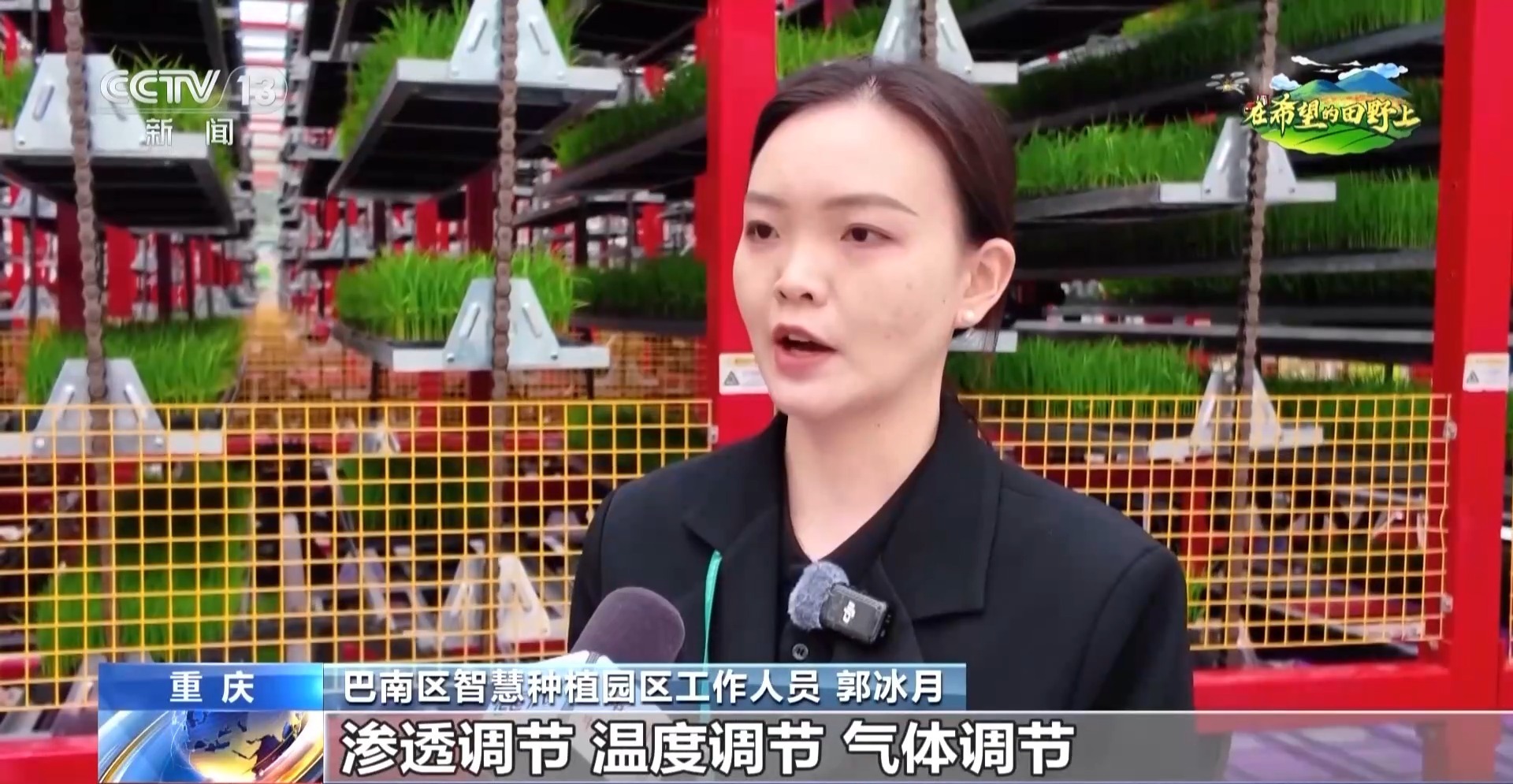 智能化育秧、无人机施肥、机器播种 “智慧春耕”正在进行中 智能化育秧、无人机施肥、机器播种 “智慧春耕”正在进行中