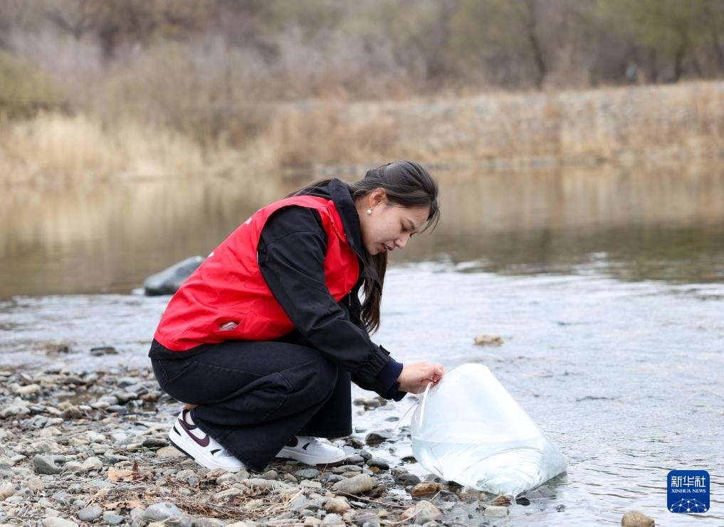 60万尾鱼苗放流图们江