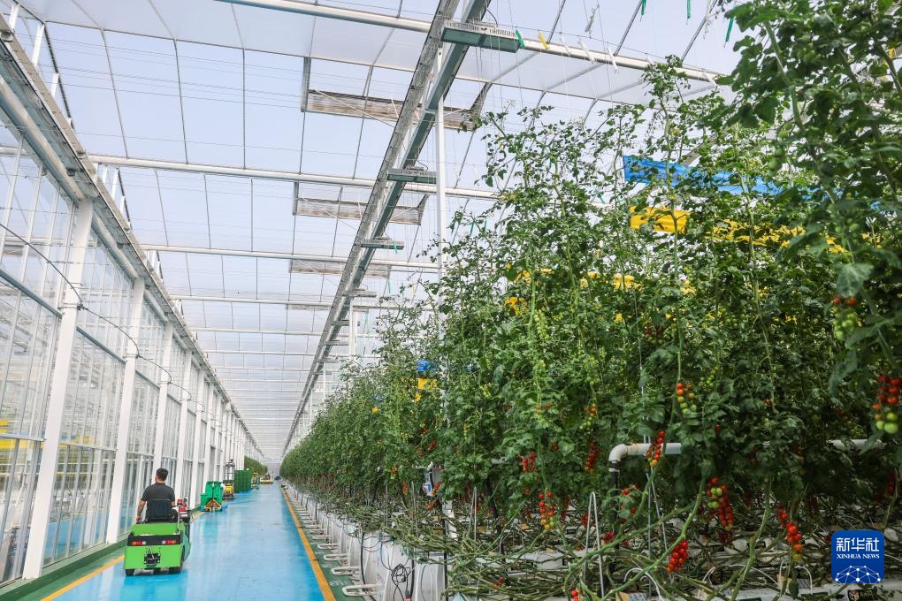 浙江海宁:推进片区组团发展 助力乡村振兴 浙江海宁:推进片区组团发展 助力乡村振兴