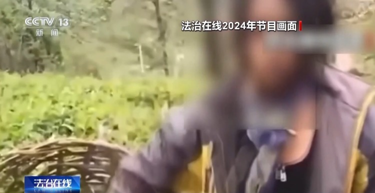 法治在线丨公众善意被过度消费 卖惨剧本何时休