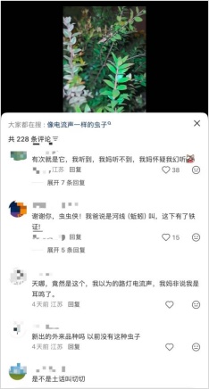 江苏多地出现神秘“电流声”？供电公司连夜排查…