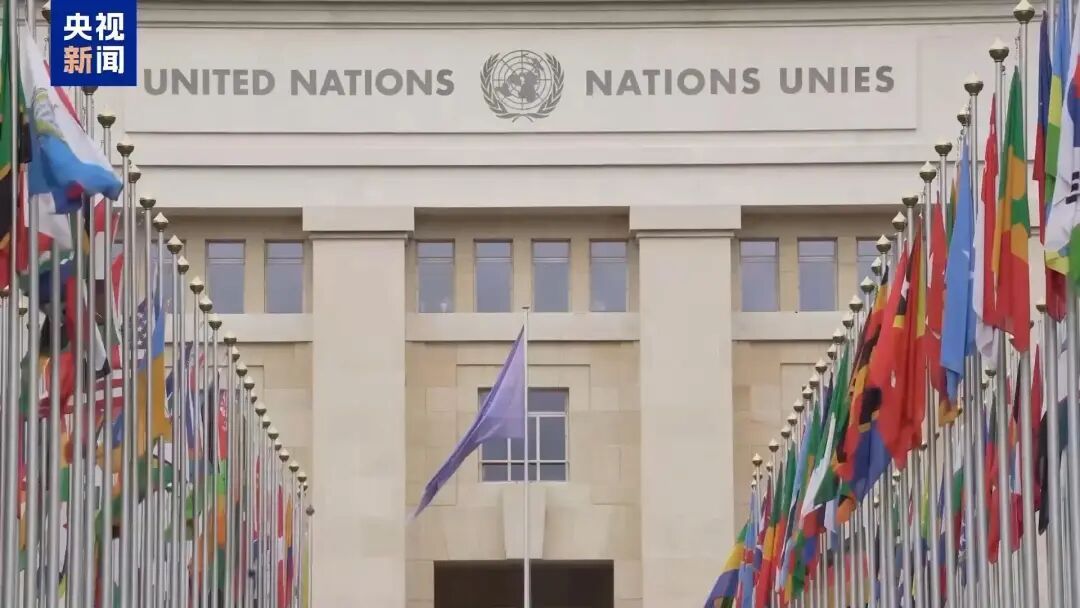 联合国人权专家联合声明：呼吁所有会员国暂停向以色列转让武器