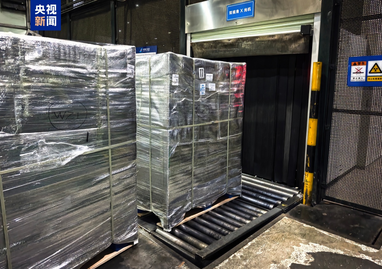 600公斤荔枝“出海” 48小时可上架英国商超