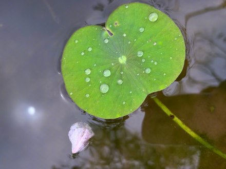 好清新的一抹绿！