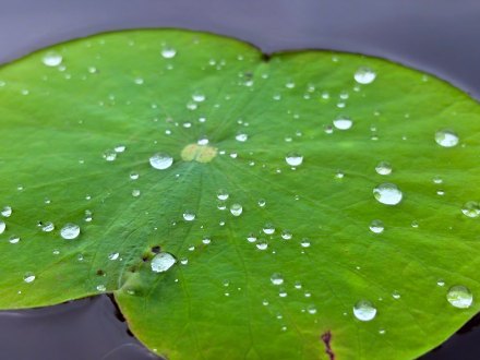 好清新的一抹绿！