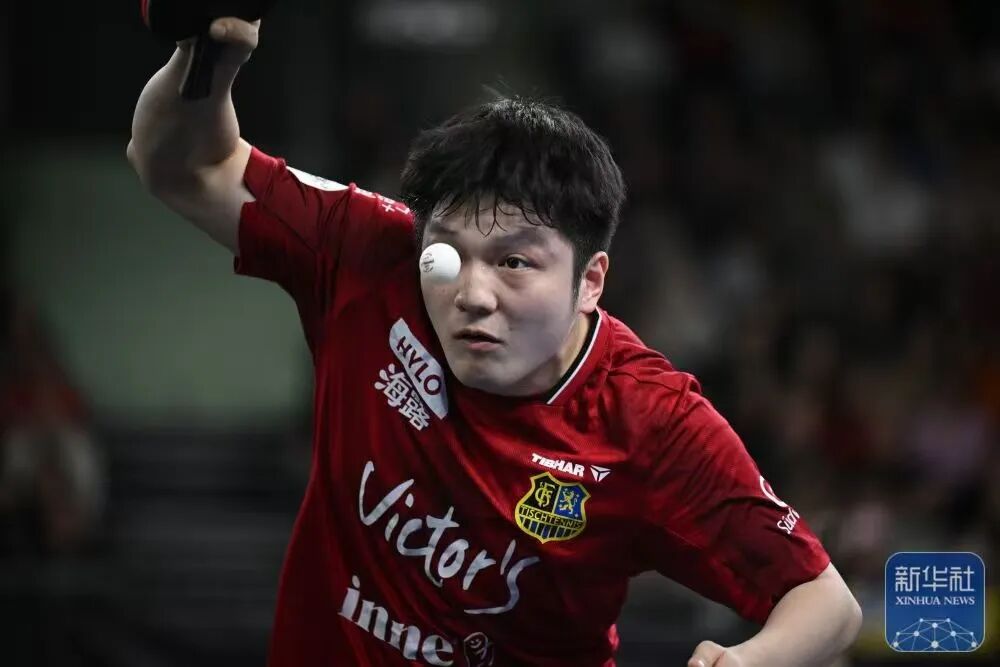 樊振东德甲胜率超90%!即将出征乒乓球欧冠 樊振东德甲胜率超90%!即将出征乒乓球欧冠