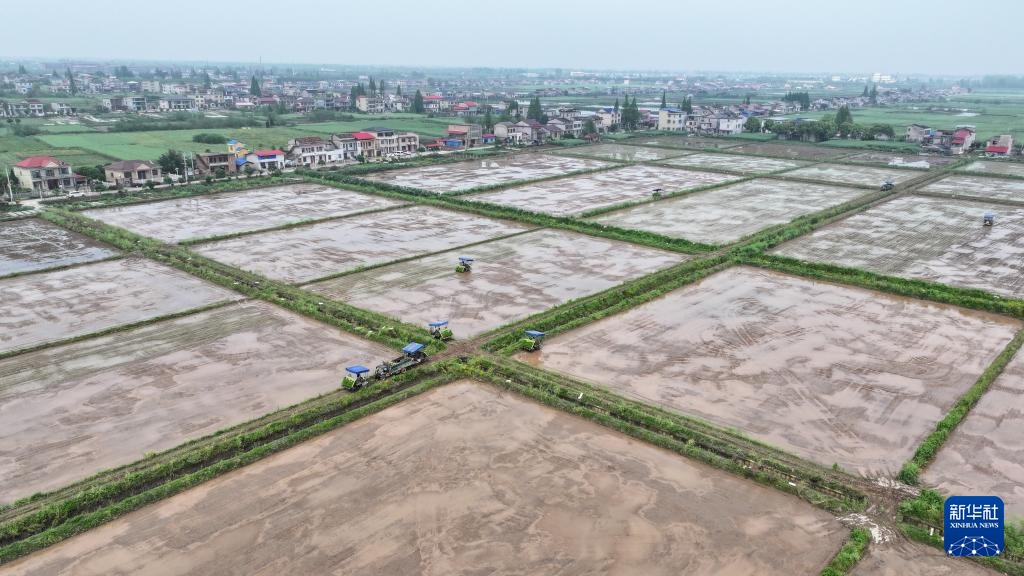 无人驾驶农机助力洞庭湖畔春耕作业