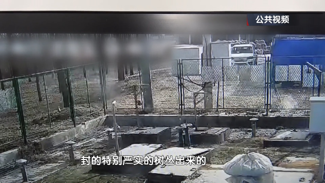 40多只羊诡异失踪 !北京警方刑拘1名男子! 40多只羊诡异失踪 !北京警方刑拘1名男子!