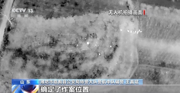 网上结识“专业盗墓团队” 跨省作案全员落网 网上结识“专业盗墓团队” 跨省作案全员落网