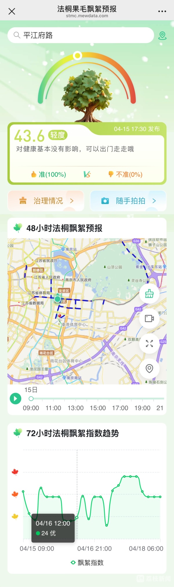 南京启动法桐飘絮治理，“吹剪结合”、遥感AI齐上阵