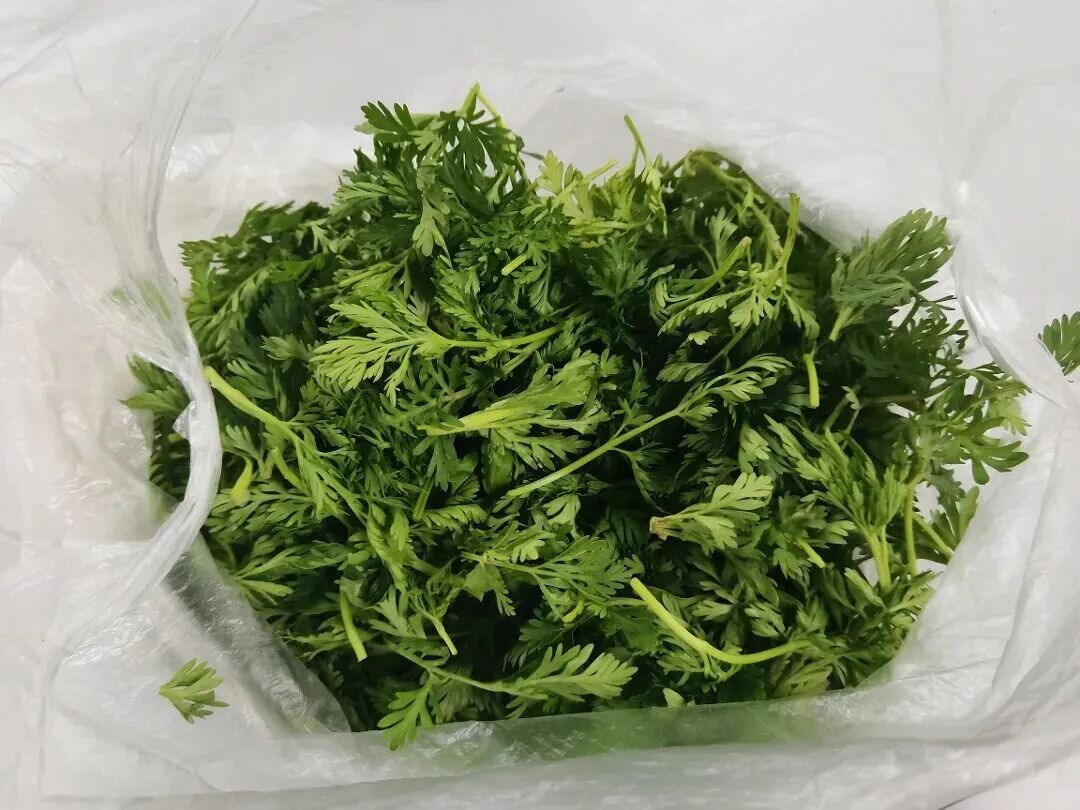 剧毒！镇江有人误食送医