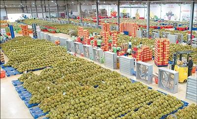 中国继续稳居越南第一大果蔬出口市场