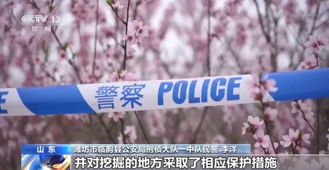 网上结识“专业盗墓团队” 跨省作案,山东潍坊警方打掉一职业盗墓团伙 网上结识“专业盗墓团队” 跨省作案,山东潍坊警方打掉一职业盗墓团伙