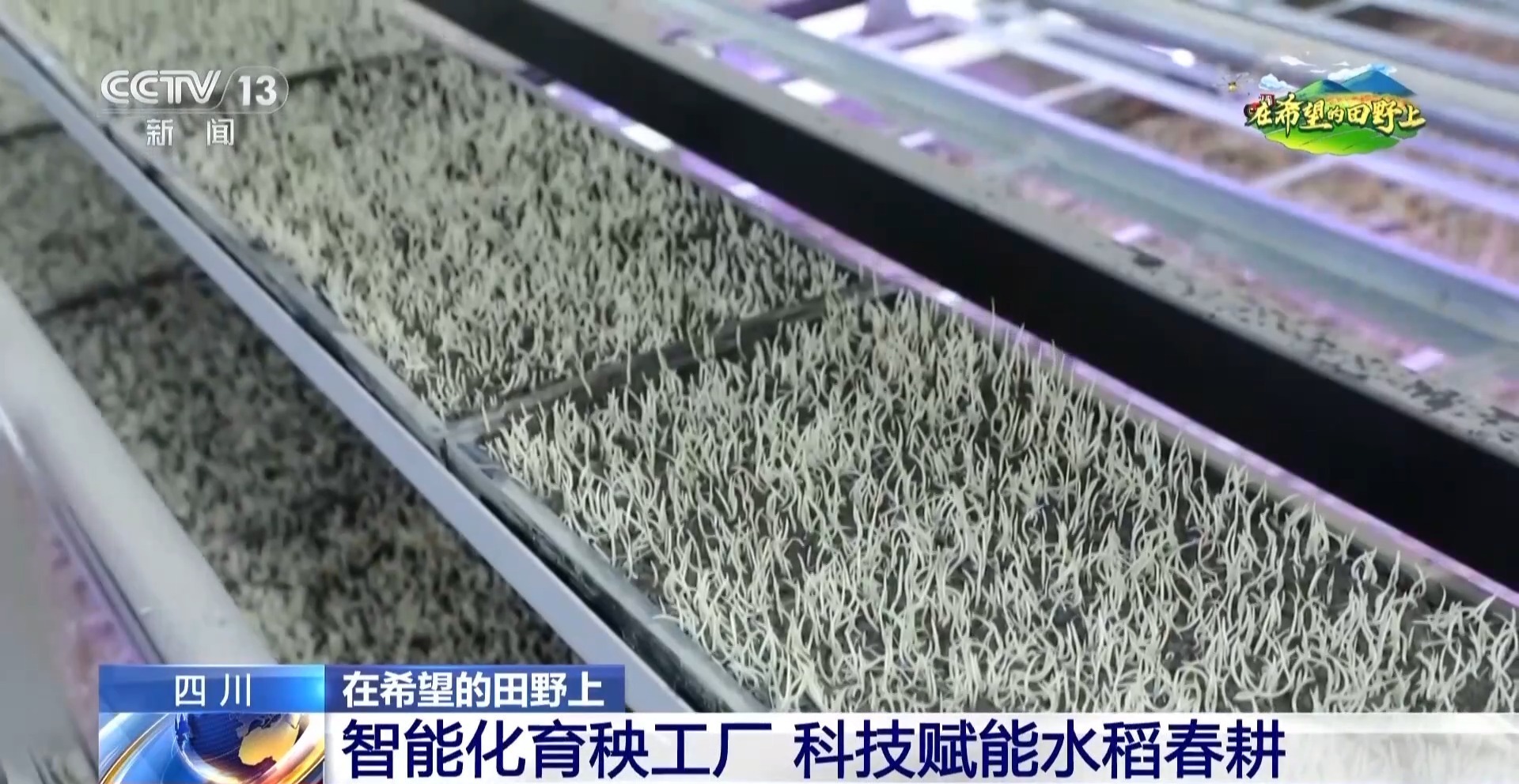 智能化育秧、无人机施肥、机器播种 “智慧春耕”正在进行中 智能化育秧、无人机施肥、机器播种 “智慧春耕”正在进行中