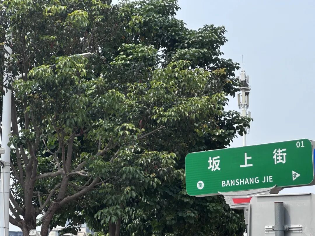 厦门地铁3号线“坂尚”站闽南话报站发音有争议?听听专家怎么说…… 厦门地铁3号线“坂尚”站闽南话报站发音有争议?听听专家怎么说……