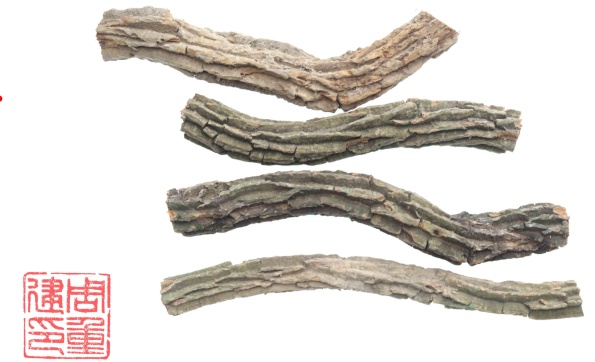 “莫氏鸡煲”走红，顺德紧急提醒