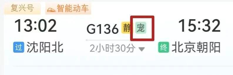 宠物能独自“坐”高铁吗？官方讲解来了！