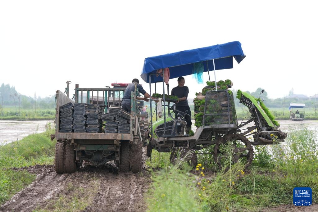 无人驾驶农机助力洞庭湖畔春耕作业