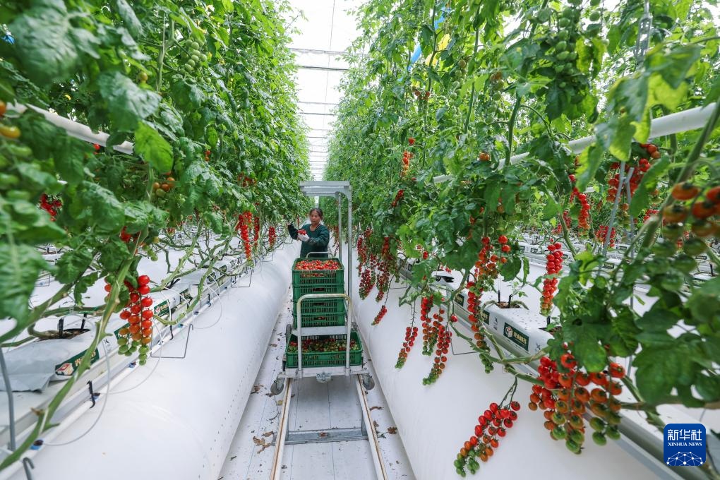 浙江海宁:推进片区组团发展 助力乡村振兴 浙江海宁:推进片区组团发展 助力乡村振兴