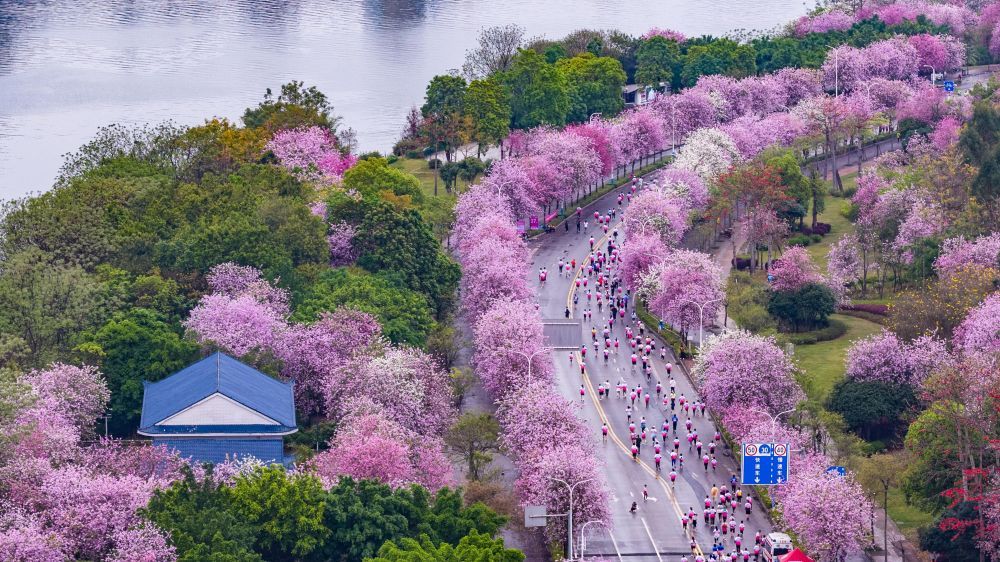 春日经济新图景｜跑出来的“春日经济”