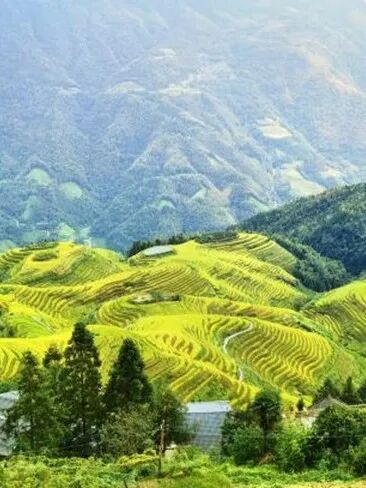 连休8天！宁波家长带娃“跟着课本去旅行”，这些目的地火了！