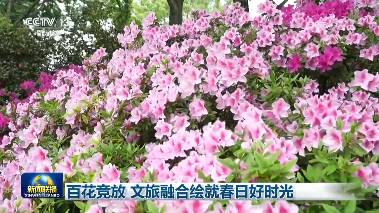 百花竞放 文旅融合绘就春日好时光
