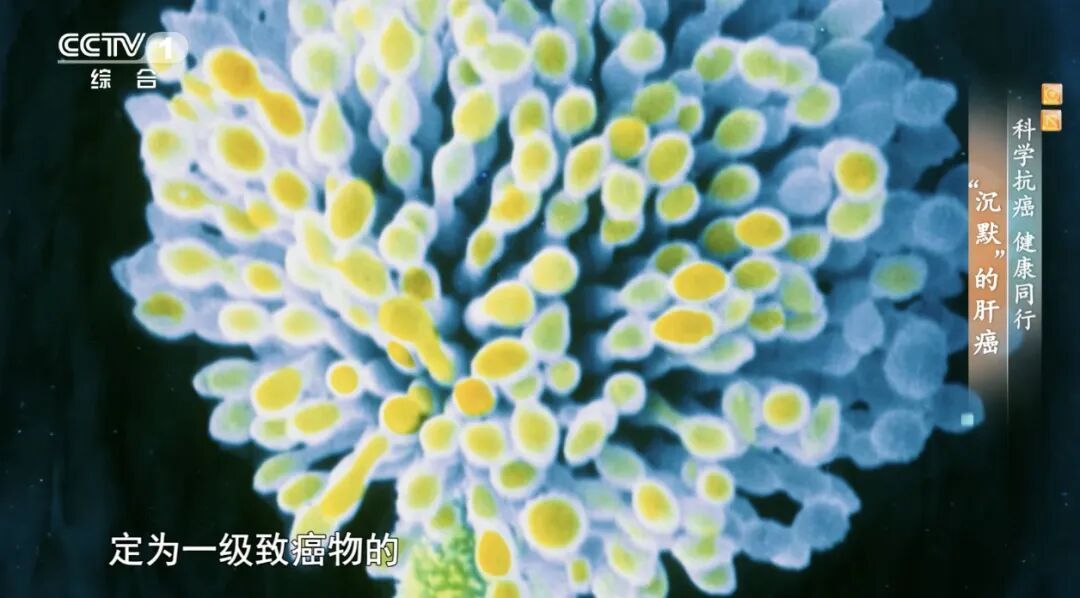 你每天入口的“它”，竟是一级致癌物，现在扔掉还来得及！