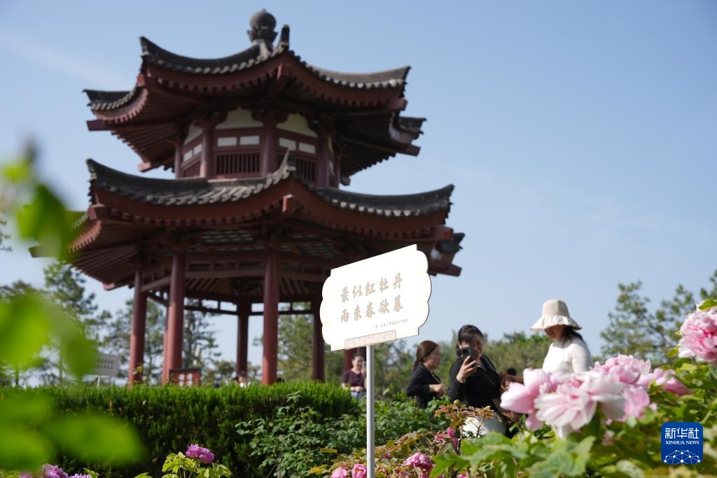 古城西安打造“唐诗之都”