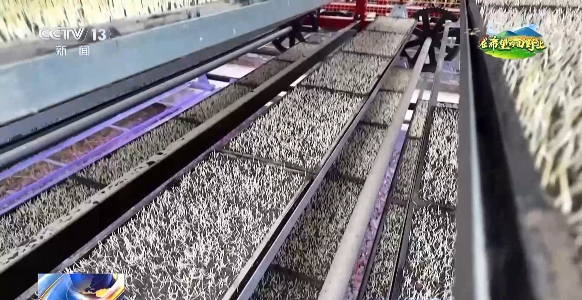 智能化育秧、无人机施肥、机器播种 “智慧春耕”正在进行中 智能化育秧、无人机施肥、机器播种 “智慧春耕”正在进行中