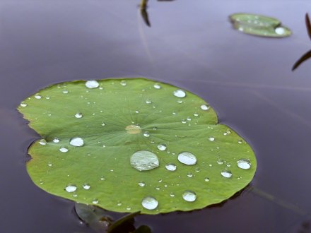 好清新的一抹绿！