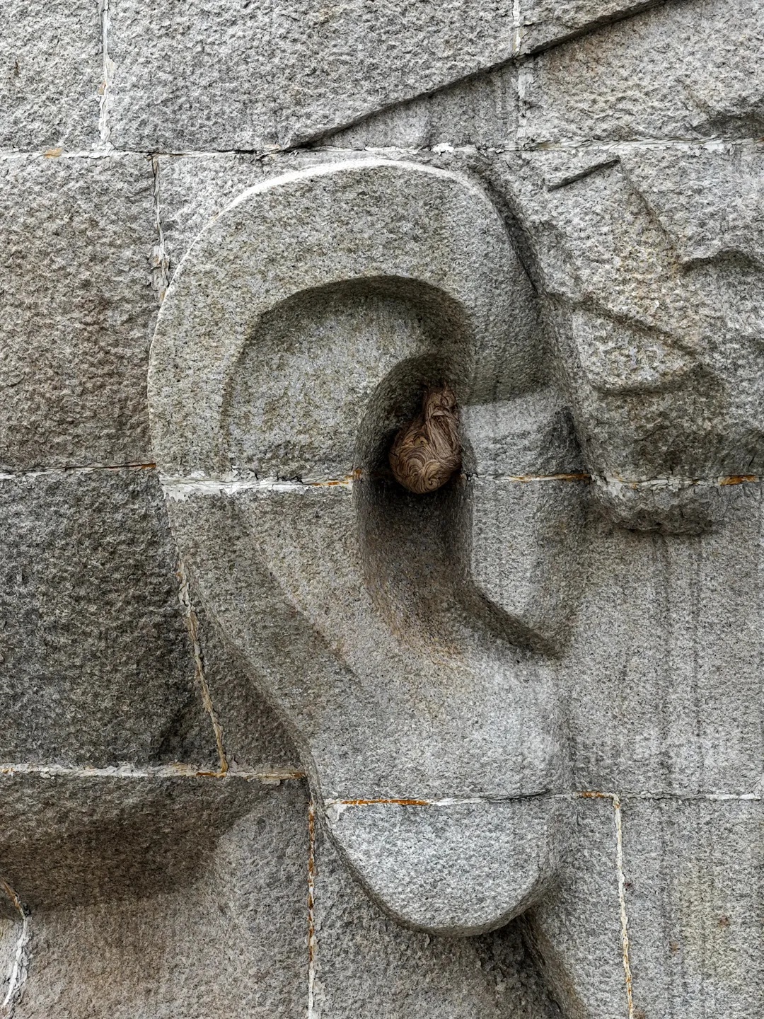 柳宗元雕像右耳内惊现马蜂窝，消防来了个“高空采耳”