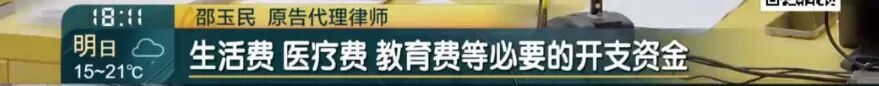 上海阿姨掏心掏肺带孙女，却称被儿子家暴？索要36万“带孙费”！儿子却喊冤？