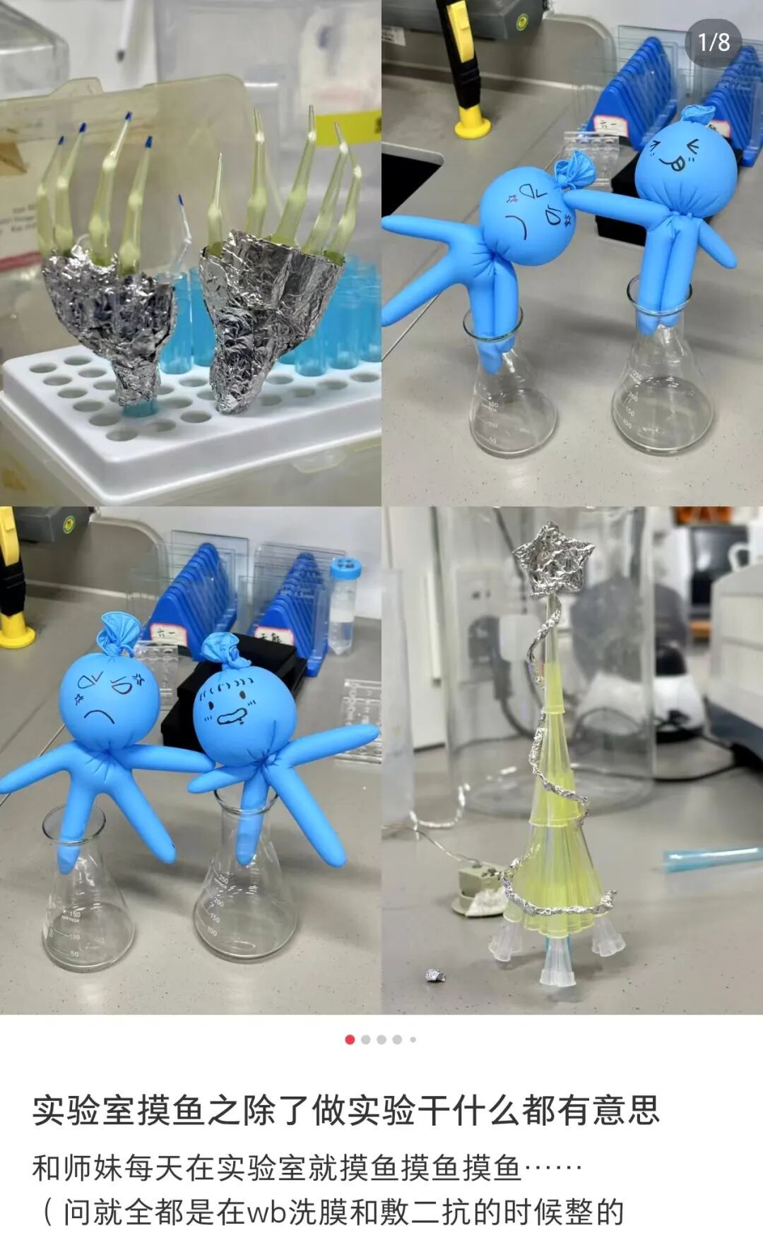 眼花了？！这回我“DNA”真动了🫣……