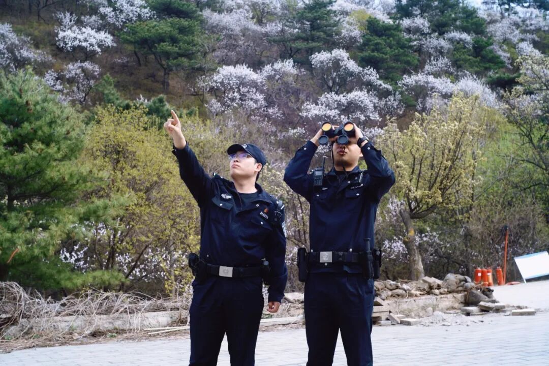 北京警方全力护航候鸟迁徙 筑牢首都生态安全屏障